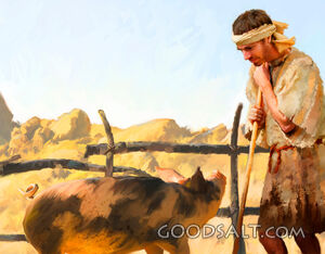 Prodigal: the Realization