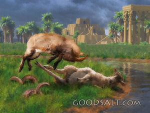Ram and Goat