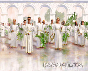 Saints on the Sea of Glass