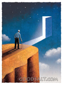 Seeing the Light