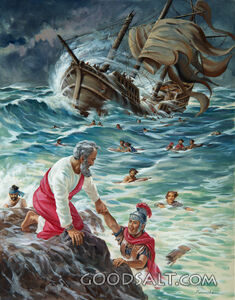 Shipwreck