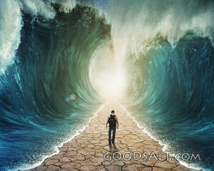 Splitting the Ocean