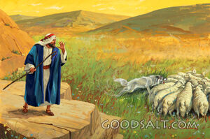 The Good Shepherd - a Wolf Attacks