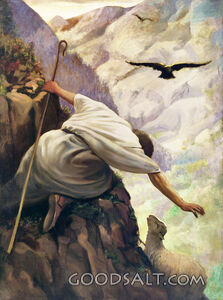 The Lost Sheep