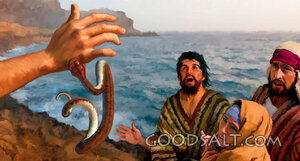 The Snake in the Fire