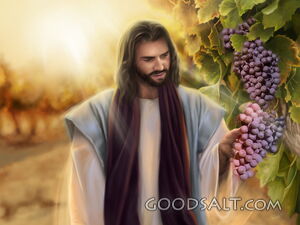 The True Vine