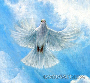 White Dove Flying